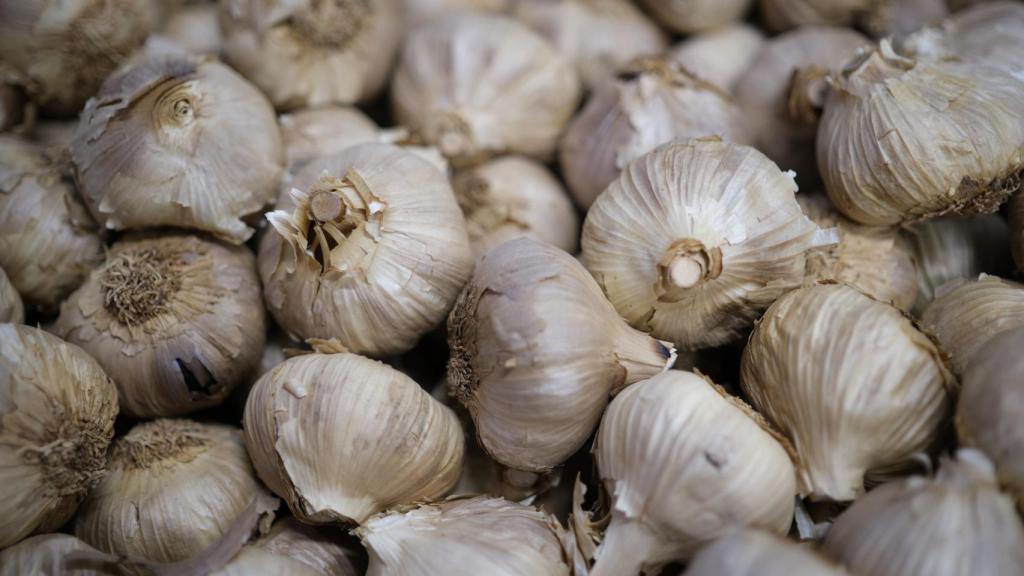 Cabezas de ajo.