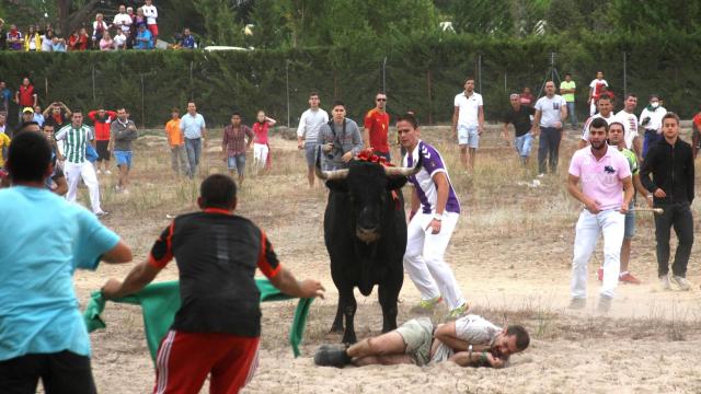 'Elegido' junto a uno de los corneados en el Torneo del Toro de la Vega de Tordesillas en 2014