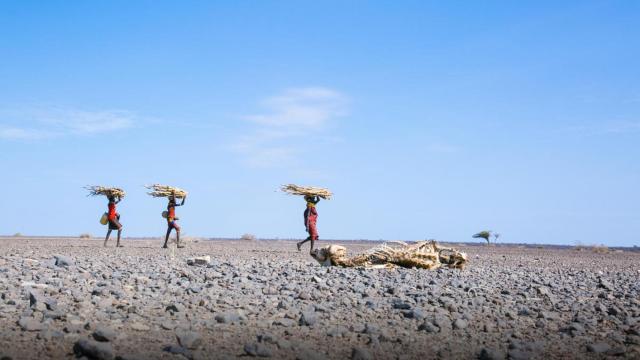 Imagen del impacto de la sequía en las familias del norte de Kenia.