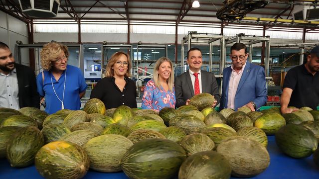 Francisco Martínez Arroyo, consejero de Agricultura, en Tomelloso. Foto: JCCM.