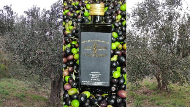 Dos de los olivos y una de las botellas de aceite CentoxCento.