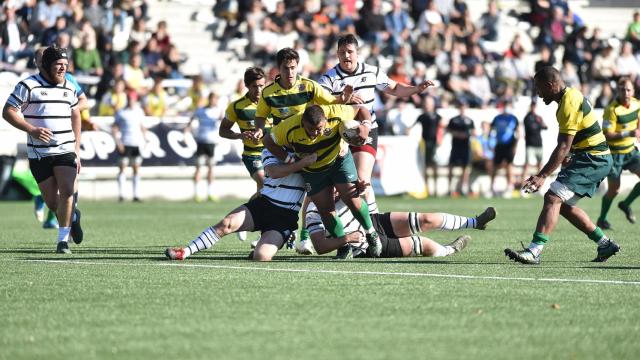 Imagen de un partido de los Castilla y León Iberians.