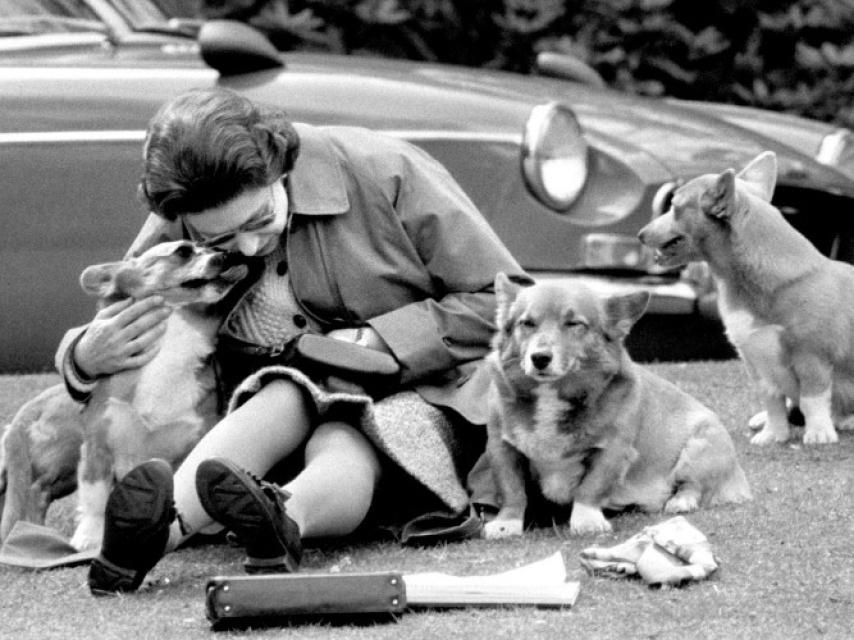 Isabel II posa con algunos de sus corgis en Windsor en 1973.