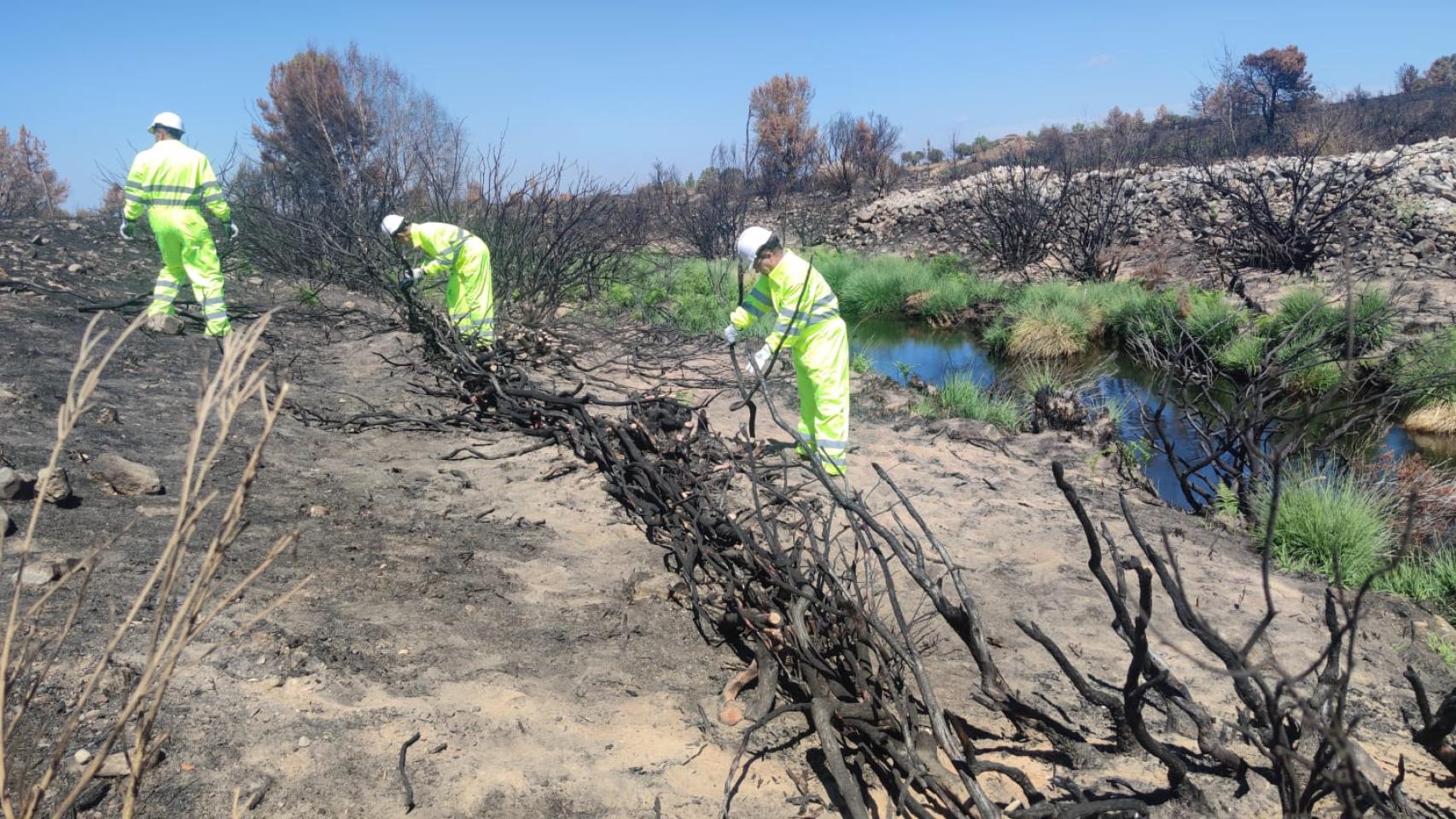 Trabajos de conservación en los cauces de ríos y arroyos de la provincia de Salamana