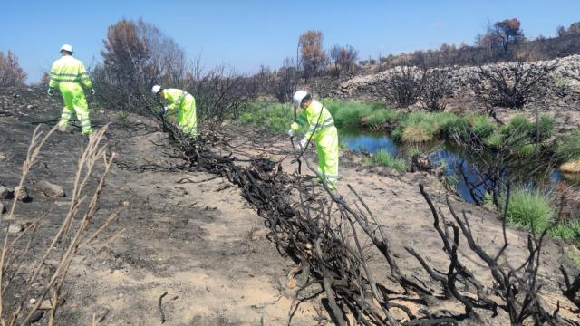 Trabajos de conservación en los cauces de ríos y arroyos de la provincia de Salamana
