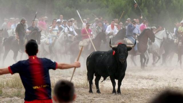 Torneo del Toro de la Vega