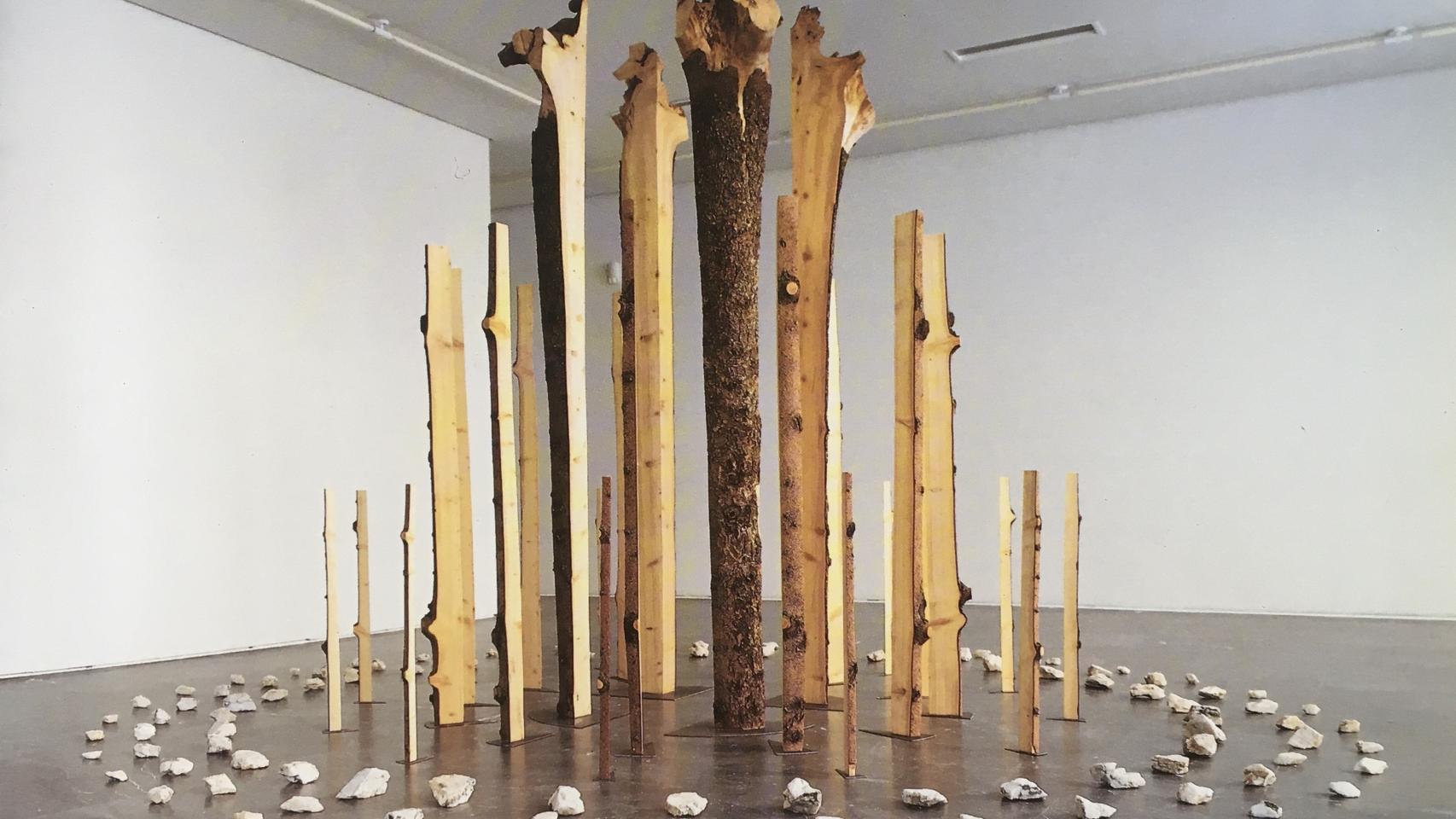 'Sin título', 1992. ©Adolfo Schlosser. Cortesía Galería Elvira González