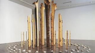 Adolfo Schlosser o el bosque en la galería de arte