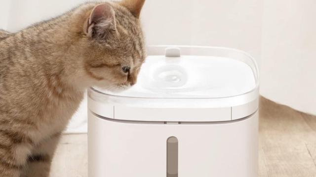 Xiaomi lanza su comedero y bebedero para perros y gatos en España, automáticos y silenciosos