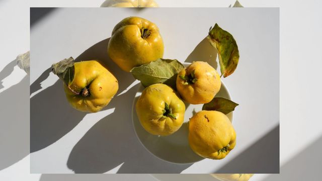 El membrillo: la fruta que endulza la vida de los gallegos