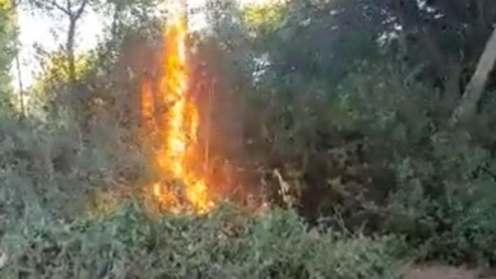 Vídeo del incendio subido por el concejal.