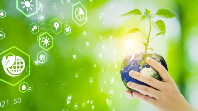 Desarrollo sostenible