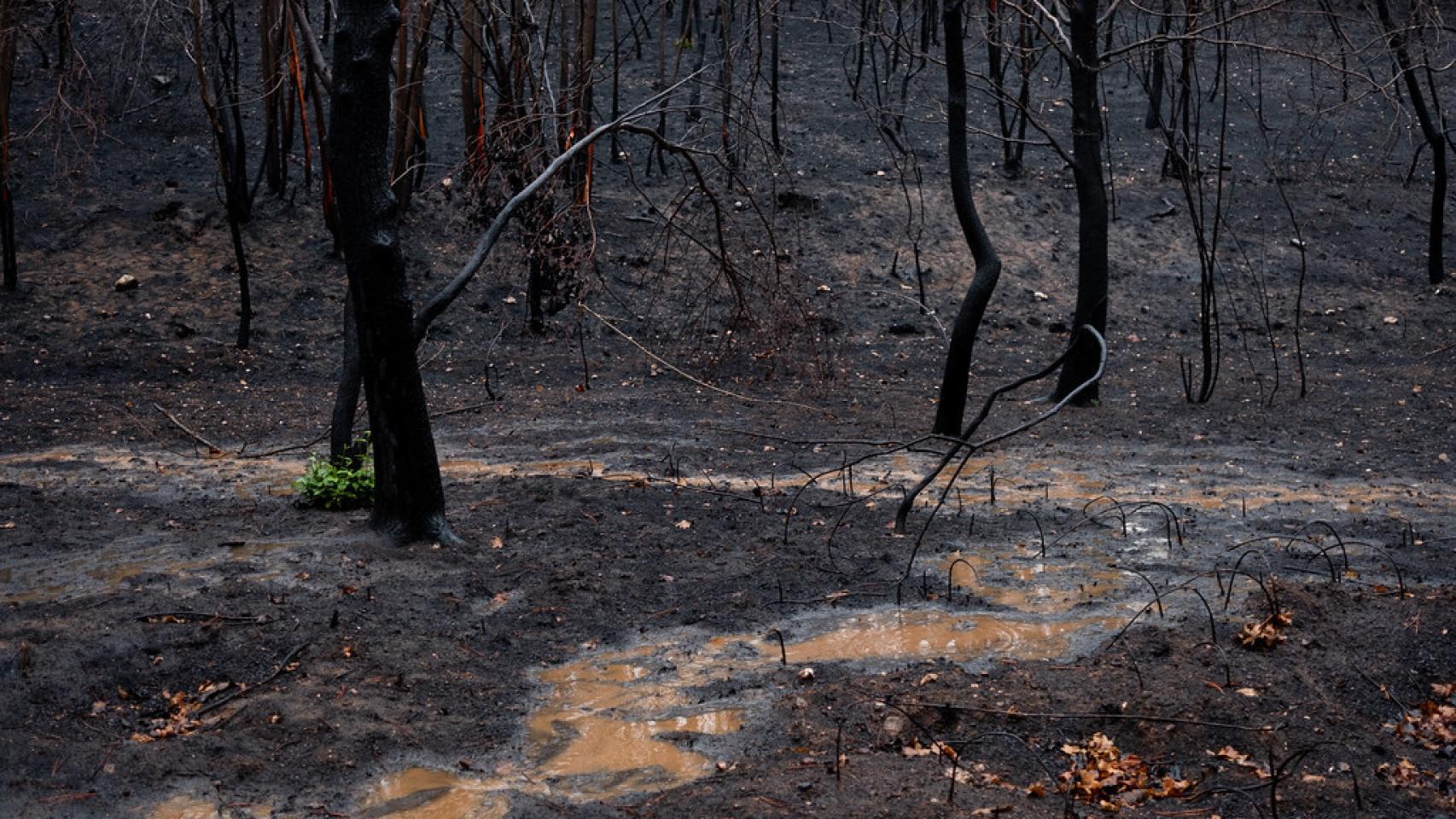 Lluvias tras el incendio reciente en Ourense.