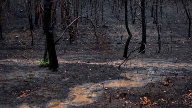 Lluvias tras el incendio reciente en Ourense.