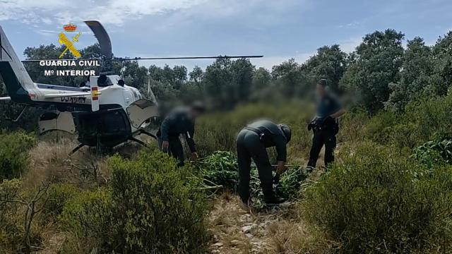 Un momento de la actuación de la Guardia Civil.