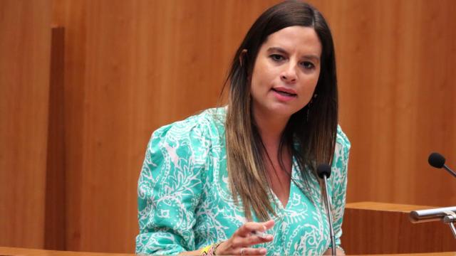 El PSOE aprueba estudiar subvenciones para las casas de acogida de víctimas de violencia de género