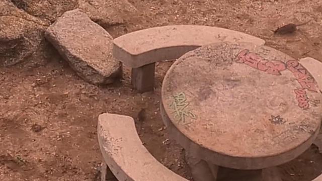 Dos ratas en la zona de mesas de la playa del Orzán