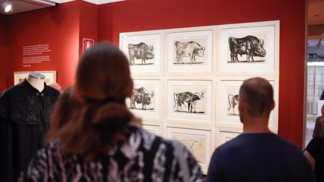 Visitantes al Museo Casa Natal Picasso de Málaga.