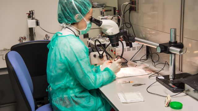 El Hospital Nacional de Parapléjicos y la Universidad ‘Anáhuac México Campus Norte’ colaborarán en la investigación de la lesión medular