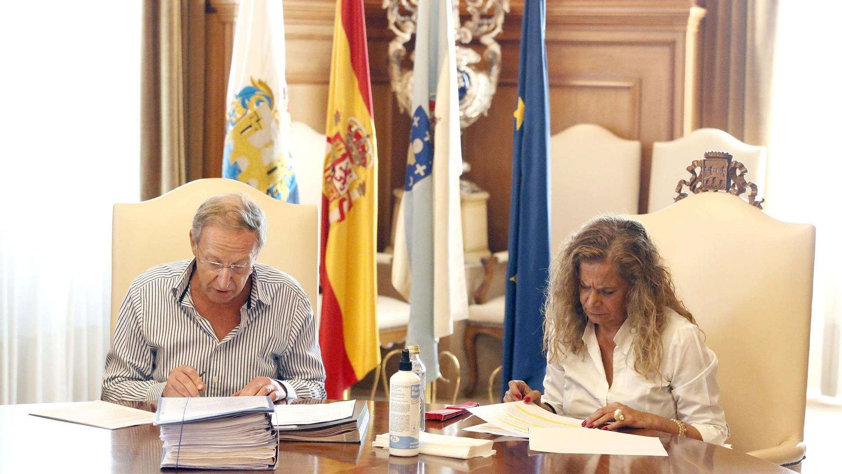 La presidenta de la Diputación de Pontevedra, Carmela Silva.