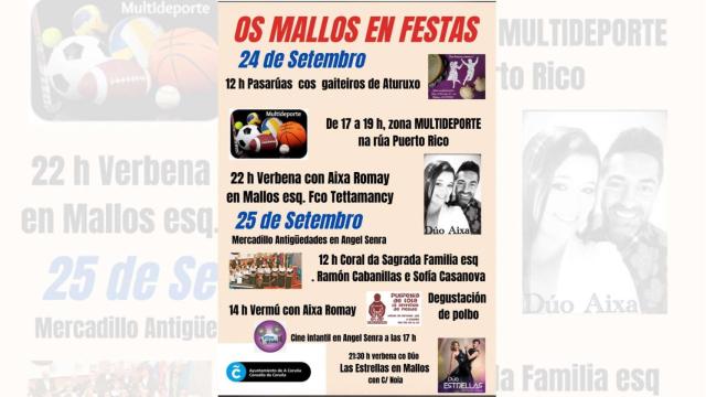 fiestas-os-mallos-1