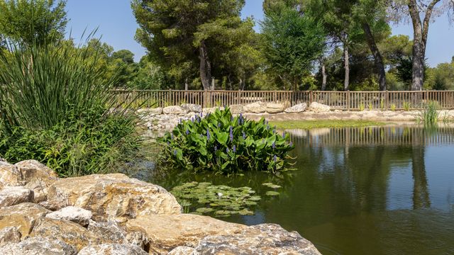 Hidraqua presentará en Valencia los logros de infraestructuras como El Recorral en Rojales.