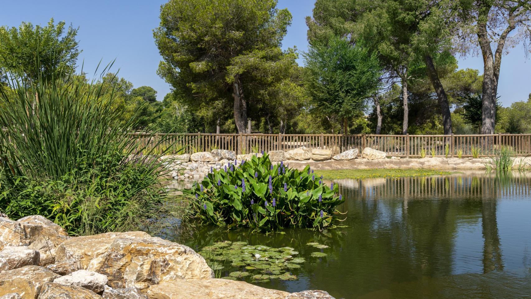 Hidraqua presentará en Valencia los logros de infraestructuras como El Recorral en Rojales.