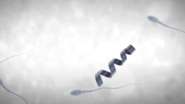 Robot Spermbot en una imagen.