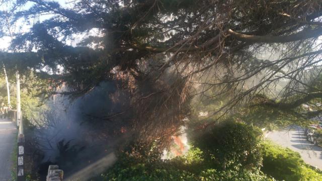Incendio en zona ajardina de Ronda de Outeiro
