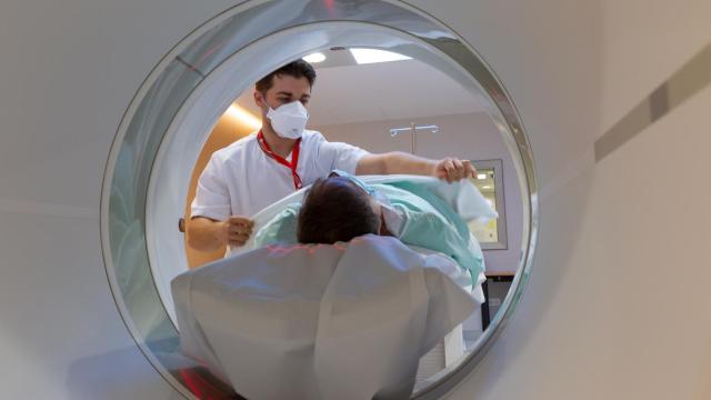 Un ensayo clínico estudia el efecto de la inmunoterapia contra el cáncer en tiempo real en tumores sólidos.