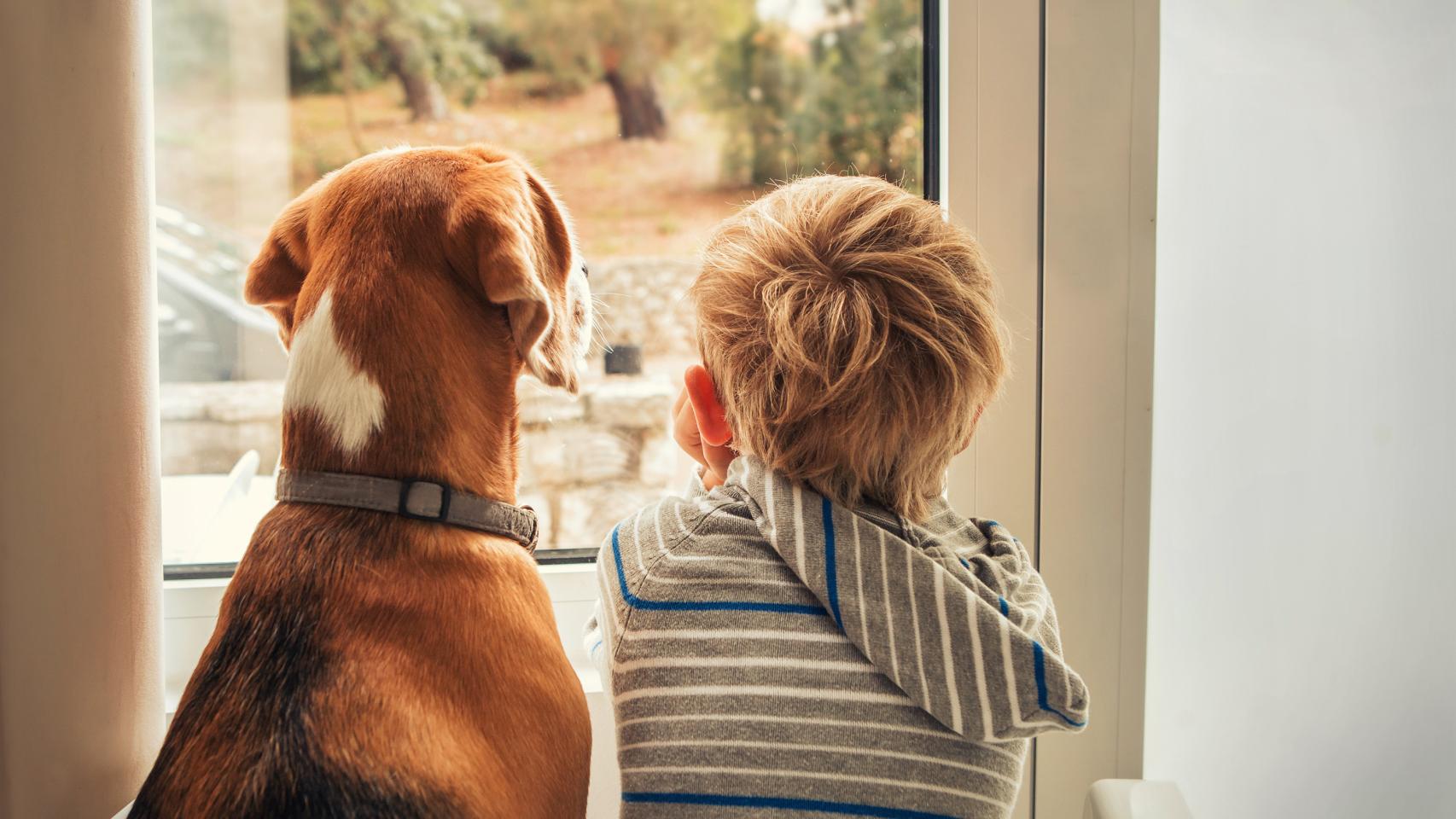 Imagen de archivo de un niño con su perro.