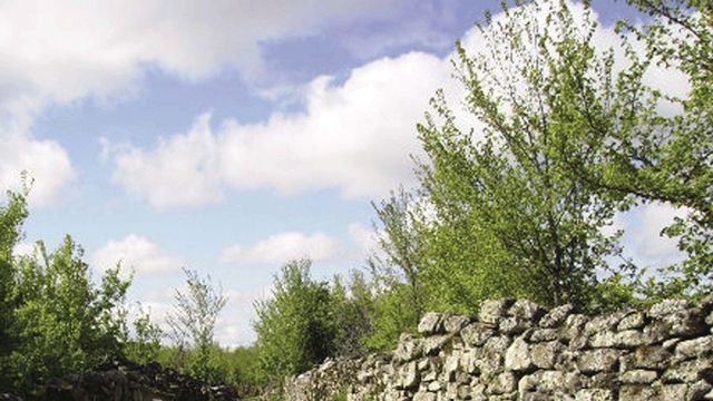 Castro de Yecla de Yeltes