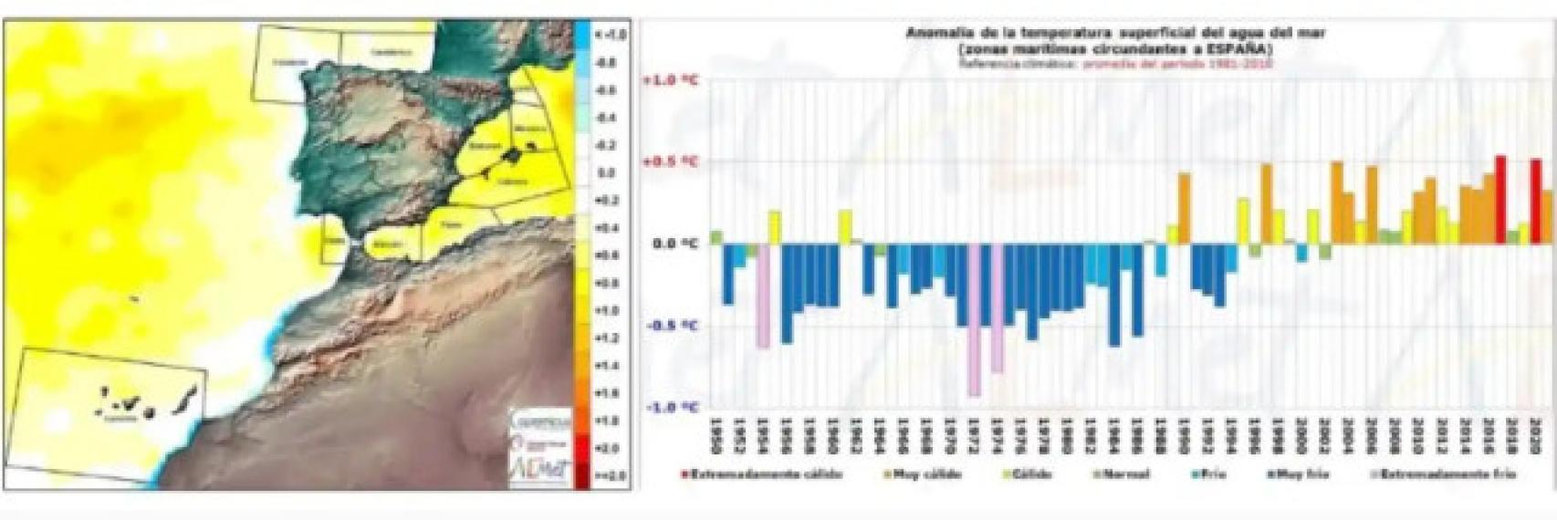 Temperatura superficial del agua del mar desde 1950.