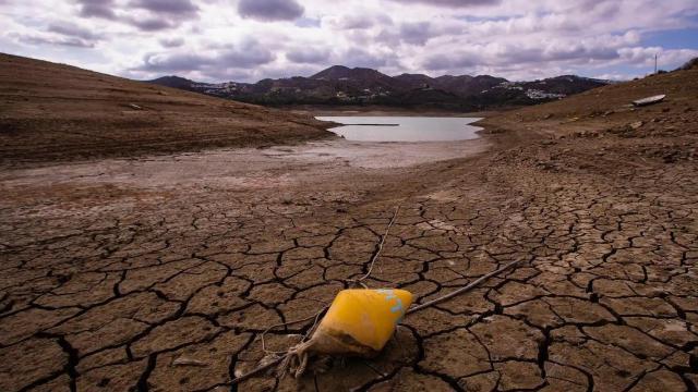 Imagen de un pantano sin recursos hídricos.