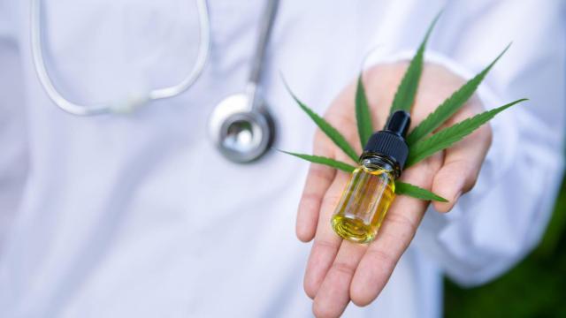 Uso del Cannabis con fines terapéuticos