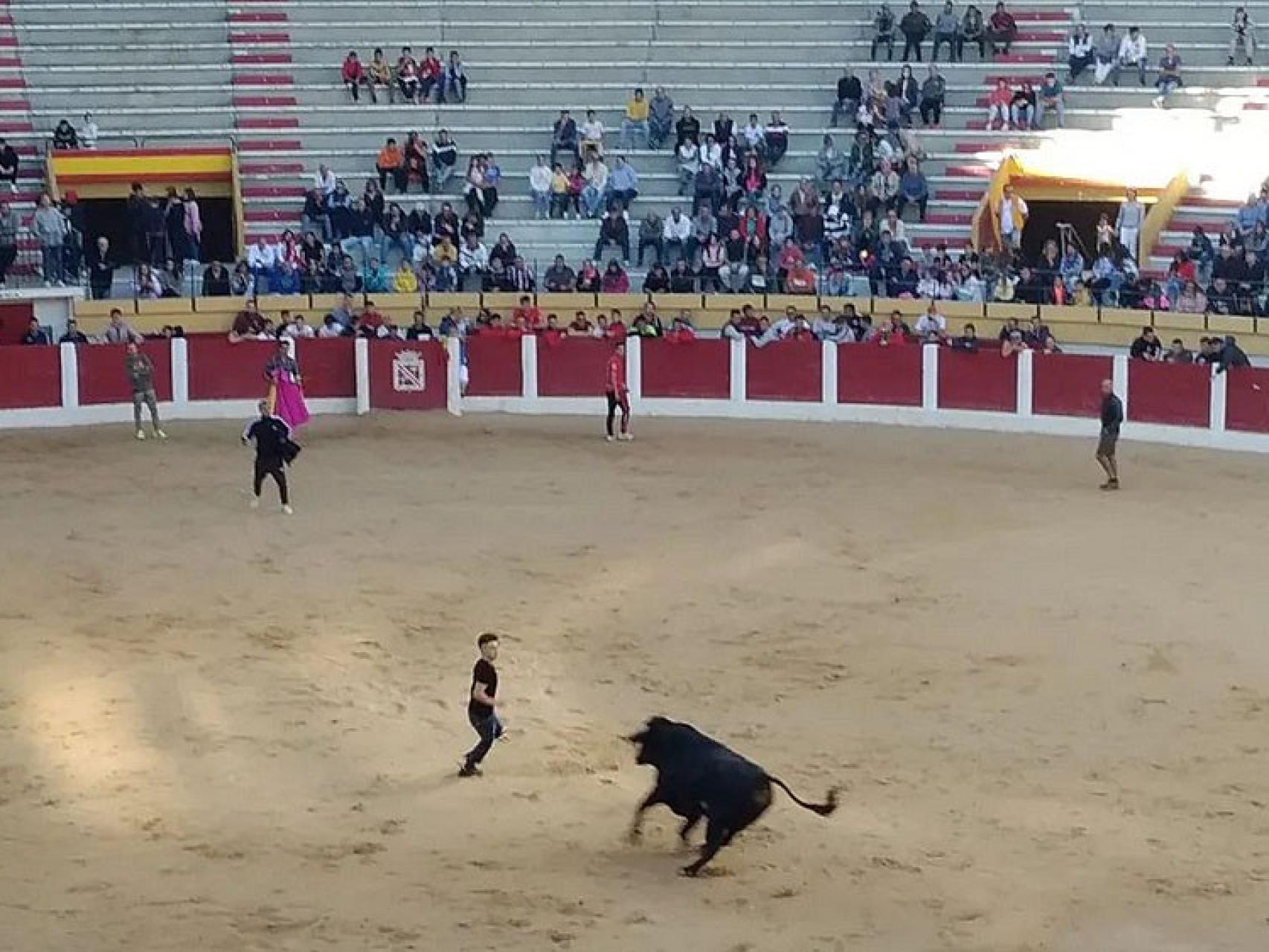 Imagen de la capea en Íscar