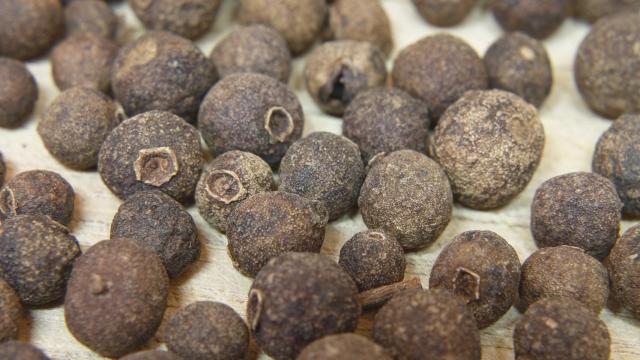 Los frutos son redondos de 4 a 10 mm de color verde amarillento a negro.