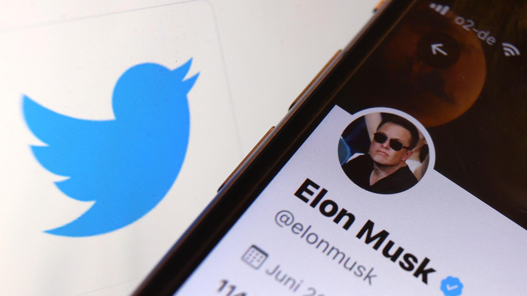 Imagen de Elon Musk junto al logo de Twitter.