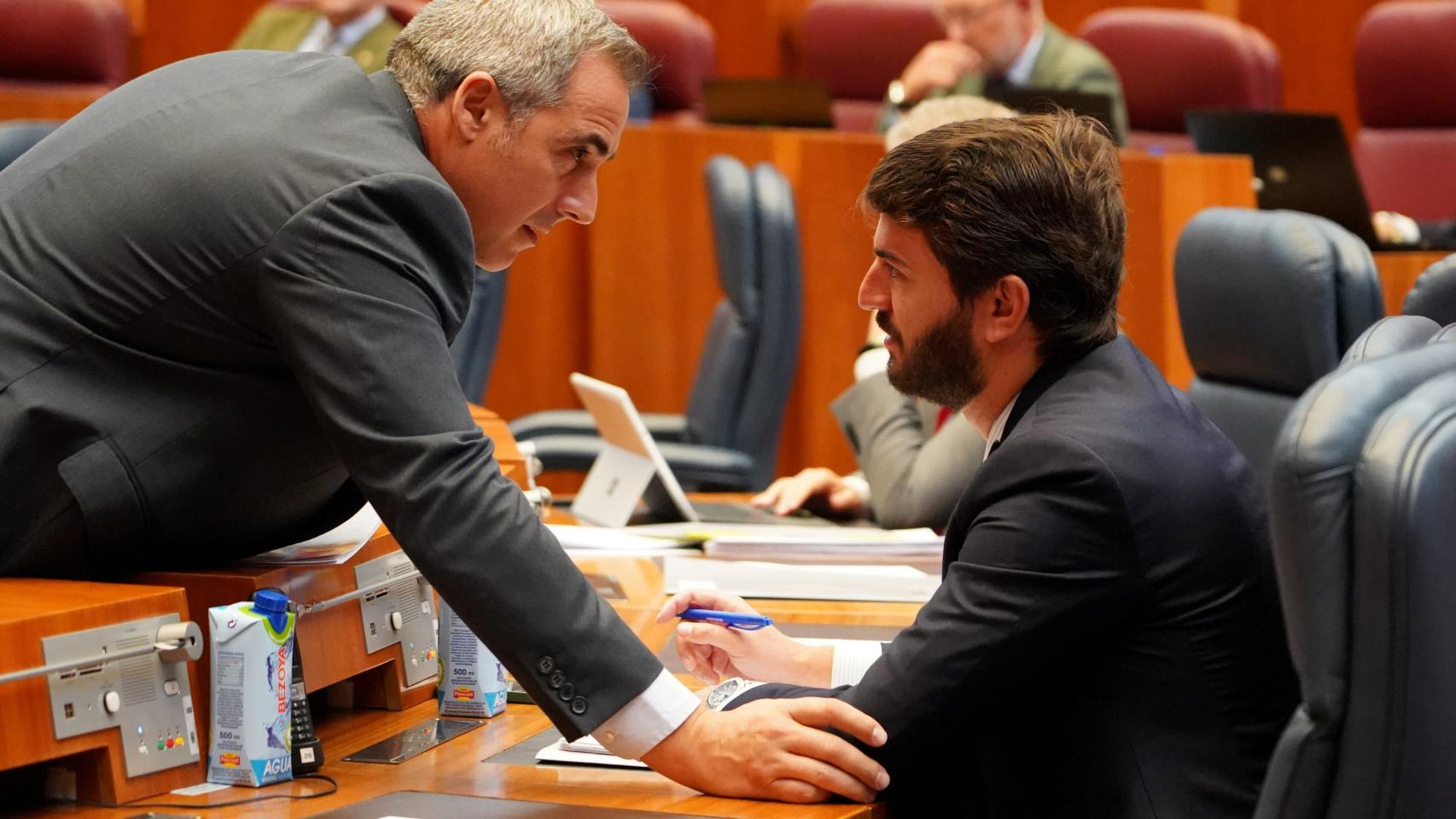 El vicepresidente de la Junta, Juan García-Gallardo, conversa con el procurador de Vox José Antonio Palomo durante la segunda jornada del pleno de las Cortes de Castilla y León
