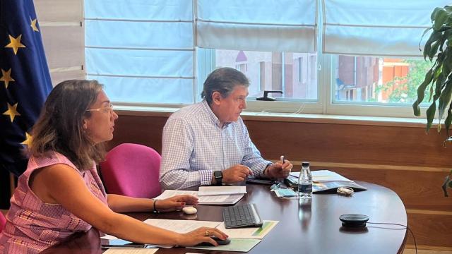 María González, consejera de Castilla y León, durante una reunión de trabajo.