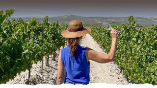 Montilla-Moriles, mucho más que vinos dulces