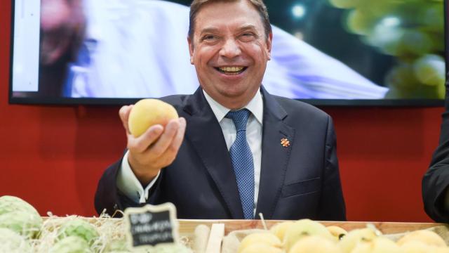 El ministro de Agricultura, Luis Planas, en una imagen de archivo.