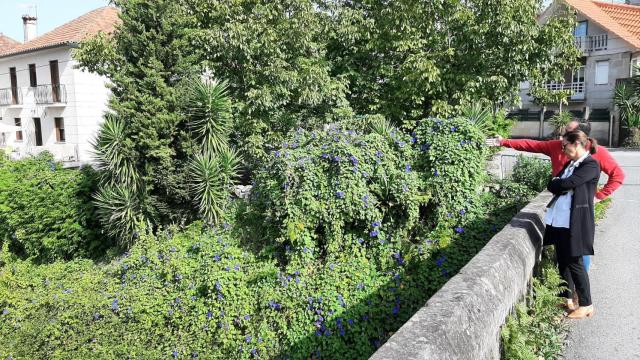 Maica Larriba visita el antiguo trazado de tren en Vilaboa (Pontevedra).