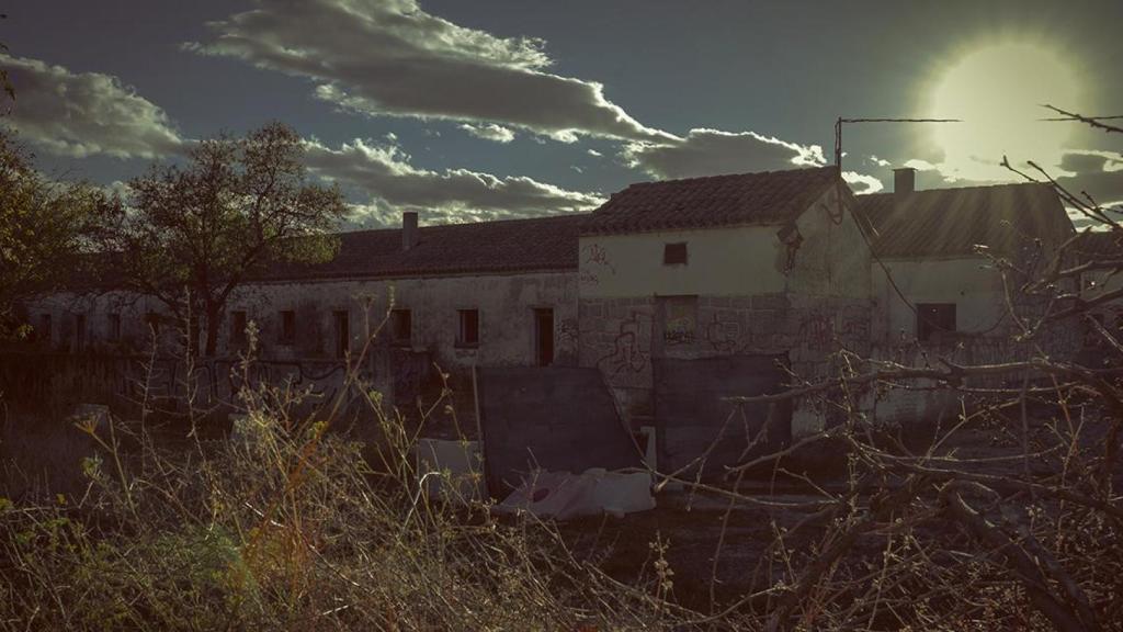 Una imagen de El Alamín.