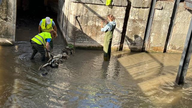 Limpieza y recogida de residuos en el Esgueva