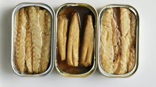 Conservas de pescado.