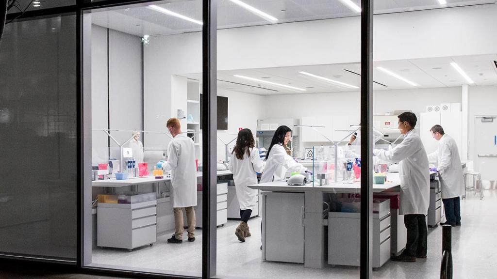 Imagen de unos trabajadores en Novartis. Imagen de archivo.