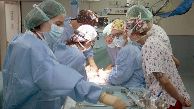 La operación que ha logrado efectuar el primer trasplante de intestino en asistolia del mundo.