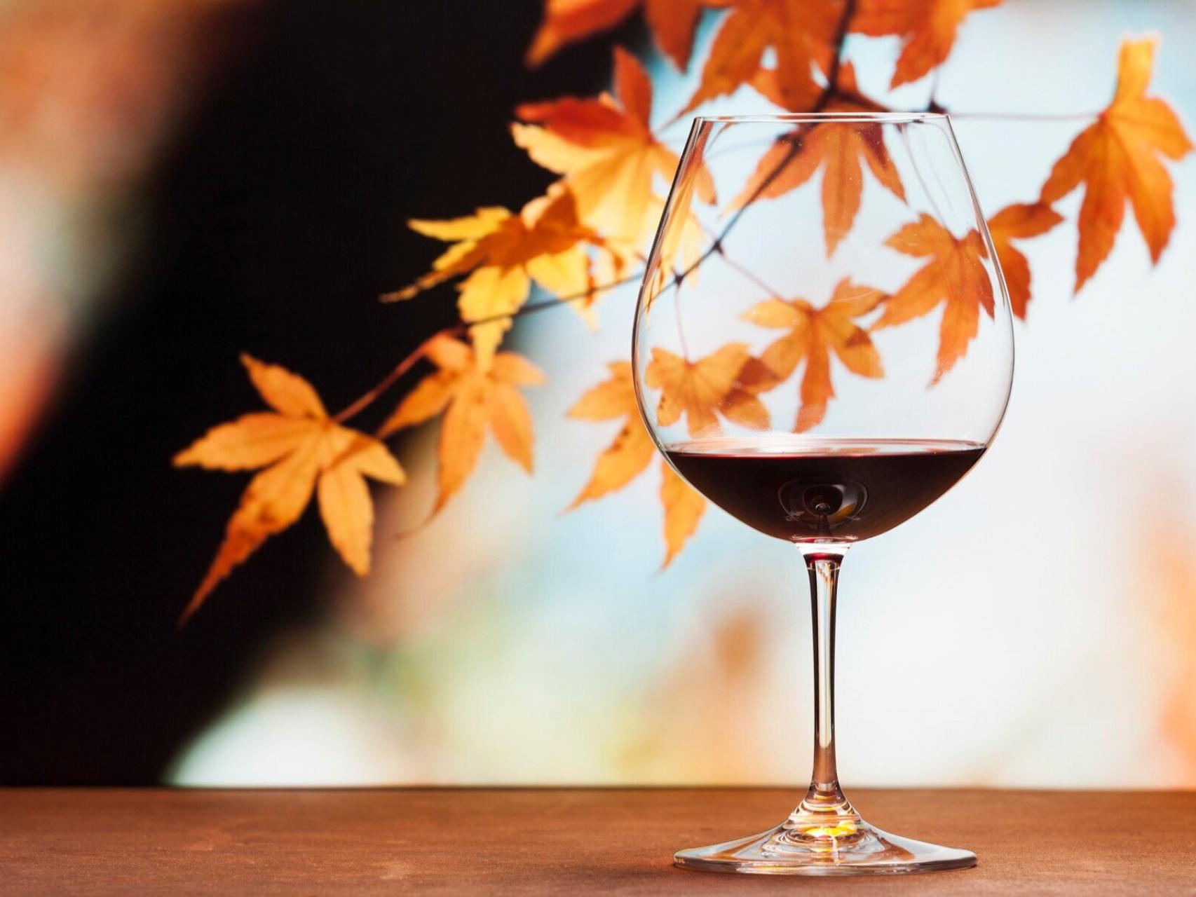 Vinos de otoño-invierno