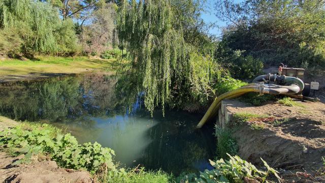 Un bombeo de agua del río Guadiaro denunciado por ecologistas este verano.